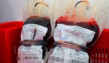 Photo of Sangue de doadora do ES tinha anticorpos da Covid em 11 de fevereiro